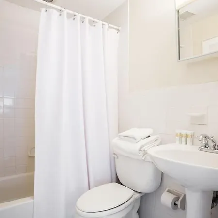 Apartamento Pet Friendly - Elevator - Laundry In Bldg - Fidi